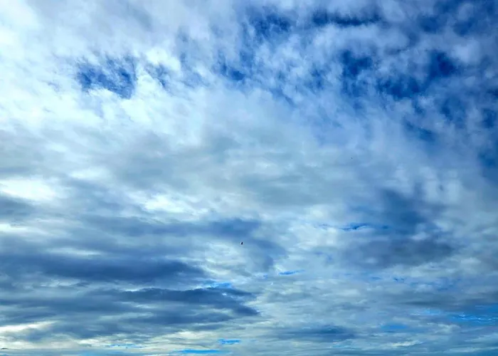 La Maison De Rudmann *